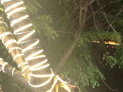 -范饭椰林川湘味海鲜·椰子鸡(三亚湾椰梦长廊店)