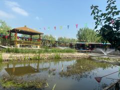 -同銮特种养殖场·龙虾垂钓