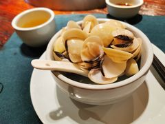 白贝下火锅-大良毋米粥(锦龙路总店)