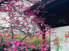 -杭州植物园