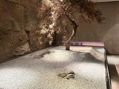 -新荣记(建国门外大街店)