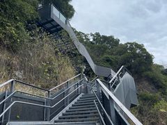 -福道
