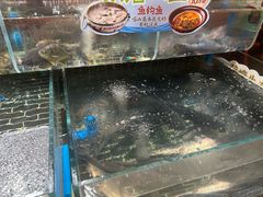 -老阿爸鲜鱼土菜(昆山花桥店)