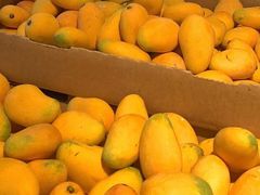 芒果-西郊国际农产品交易中心