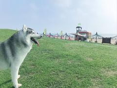 -秦皇岛阿尔卡迪亚滨海度假酒店