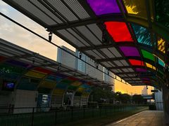 -珠江夜游广州塔·中大码头