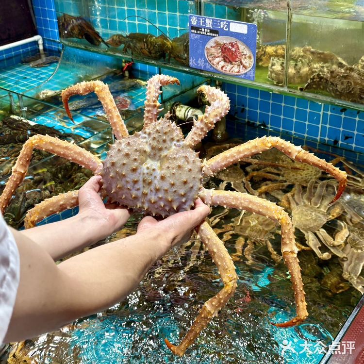 厦门八市！本地人常去的海鲜排档！！