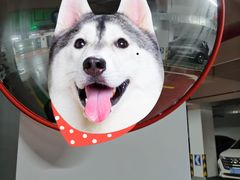 -忠记湛江烧蚝店