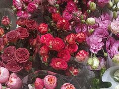 -双季花艺园艺市场(浦东店)