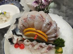 -鲐赏河豚(长寿店)