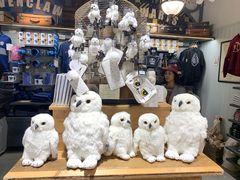 -九又四分之三站台哈利波特商店