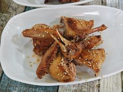 -东鸽皇(奥园·中环广场店)