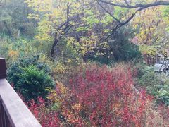 -贮水山儿童公园