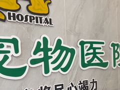 -半岛宠物医院24小时(科华中路店)