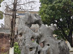 -碧江金楼