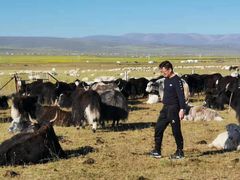 -青海湖国家重点风景名胜区