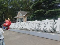 -日照海滨国家森林公园