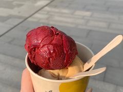 -LUNEURS月乐诗·法式冰淇淋(环贸店)