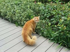 iphone_upload_pic-南翔镇银翔湖公园