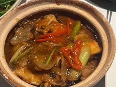 -MR鹅外