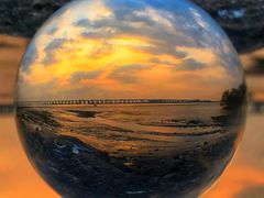 -宝安西湾红树林湿地公园