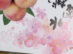 -老袁家蜜桃农场·阳山水蜜桃