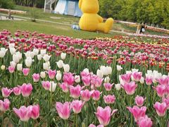 -北京国际鲜花港