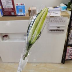 -1T·1M 日式美甲美睫