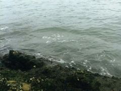 -碧桂园十里银滩