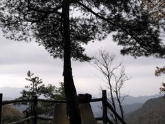 松-王顺山国家森林公园