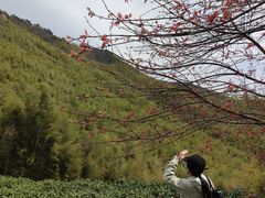 -四明山国家森林公园