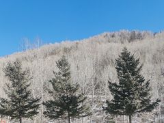 -五台山风景区
