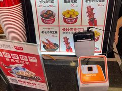 -黑色经典臭豆腐·湖南特产(潇湘文化店)