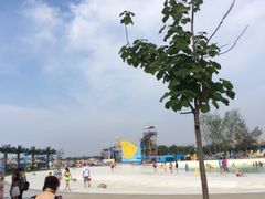 -秦皇岛乐岛海洋王国