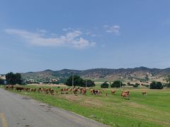-西拉沐沦大峡谷园区