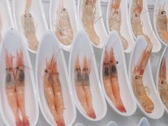 -雍容荟帝王蟹活龙虾展台自助(IFS黑金店)