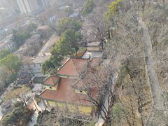 -宝通禅寺