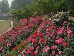 -济南植物园