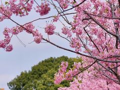 -新江湾城公园