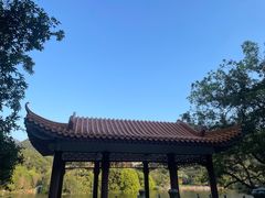 -深圳仙湖植物园