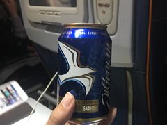 -谢列梅捷沃国际机场