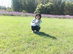 -北京东方普罗旺斯薰衣草庄园