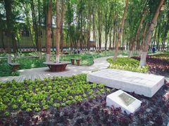 -长春市十一高中