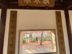 -秋霞圃