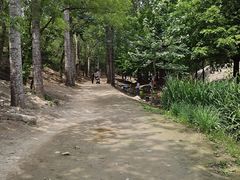 -白水寺森林公园