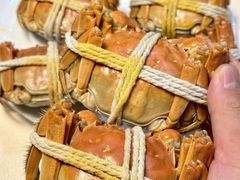 -阳澄湖大闸蟹·琼灵阁牌品牌连锁(吴中总店)