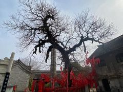-窑湾古镇