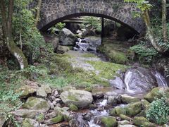 -藏龙百瀑风景区