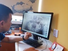 -极橙儿童齿科矫正中心(奥城店)
