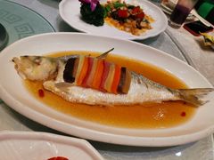 清蒸鲥鱼-金米箩大酒店(五角场店)